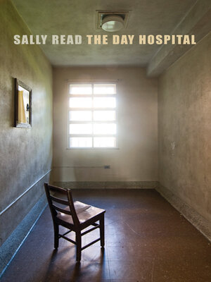 cover image of The Day Hospital